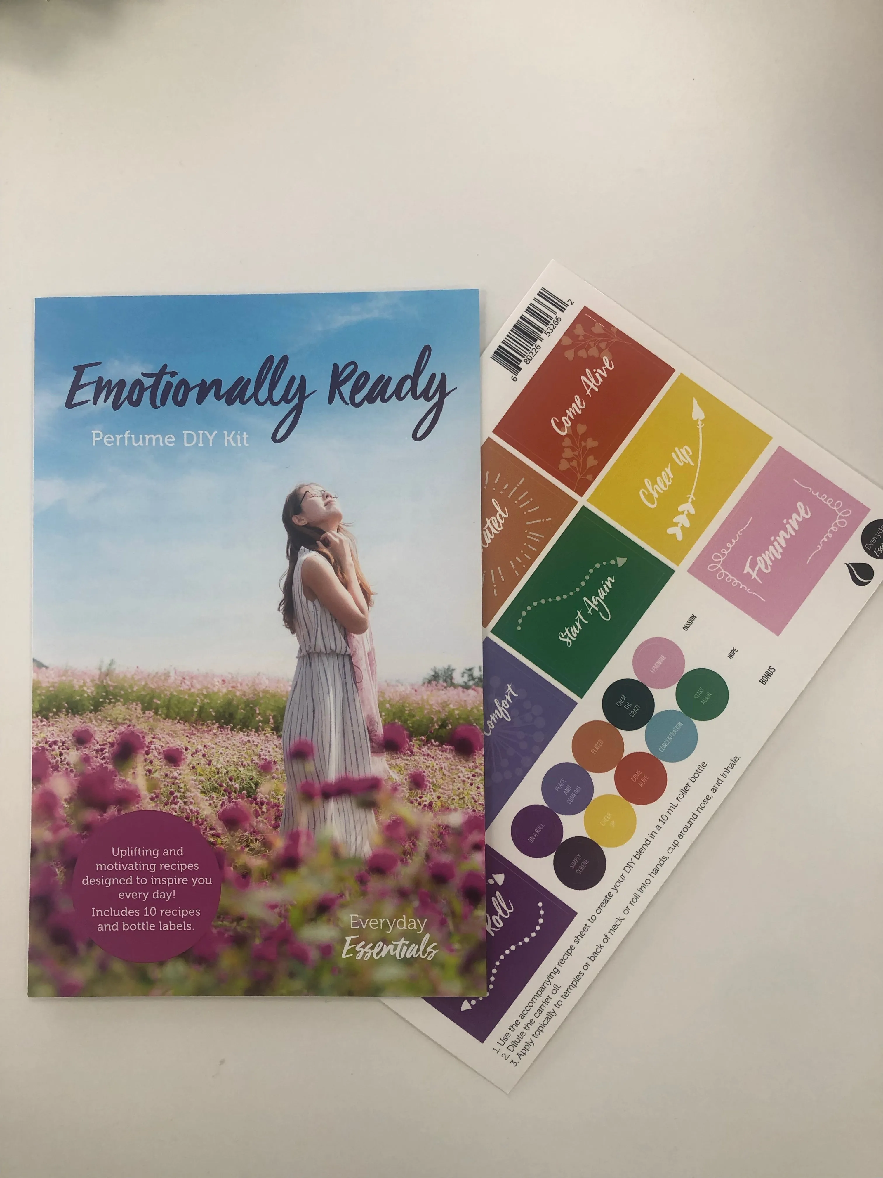 DIY Emotionally Ready 10 recipes & stickers