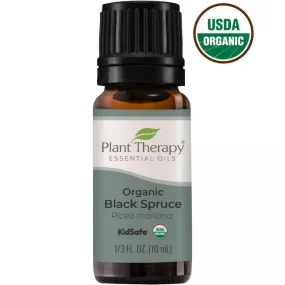 Plant Therapy Spruce Black Organic Essential Oil