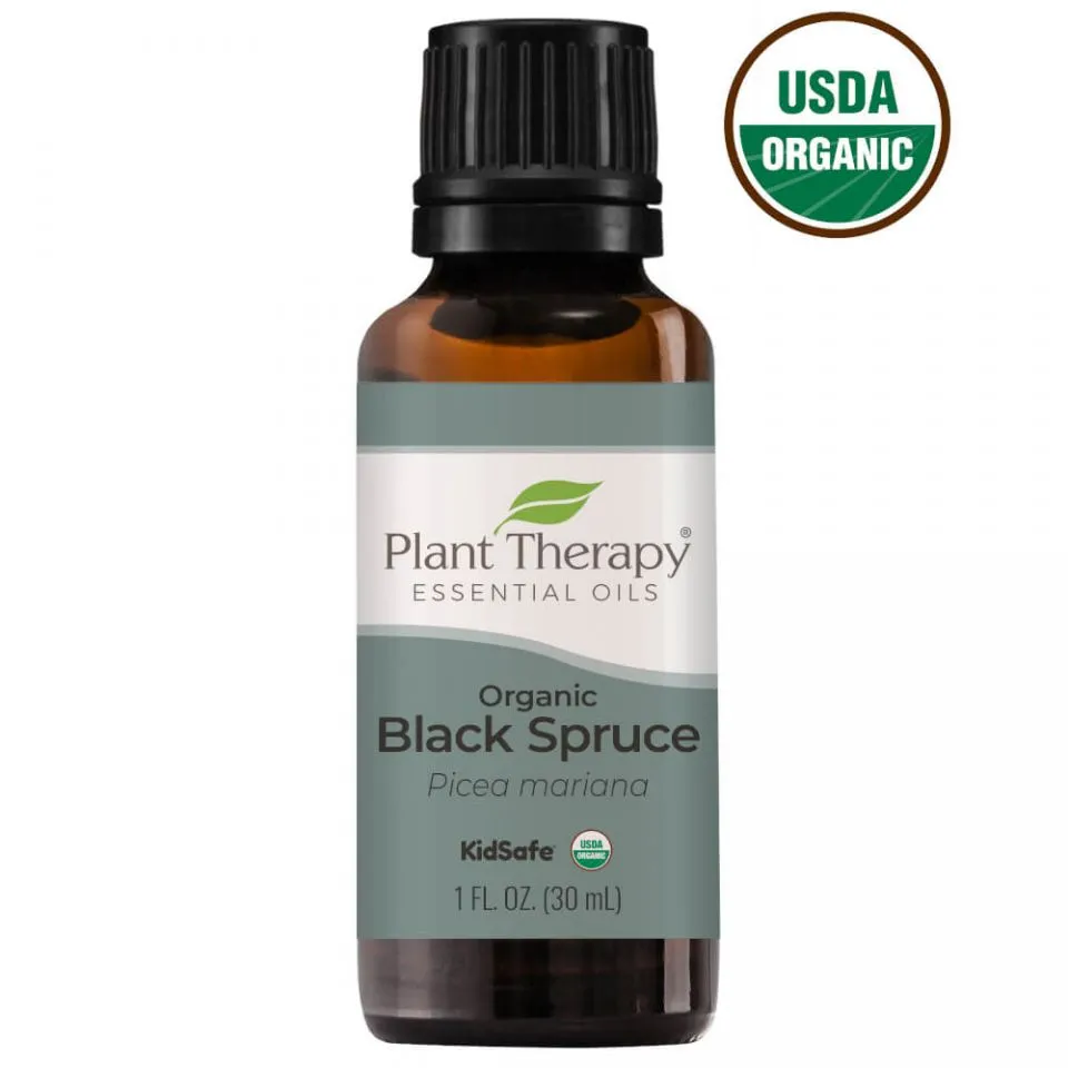 Plant Therapy Spruce Black Organic Essential Oil