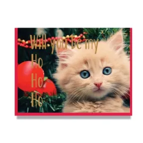 Will You Be My Ho Ho Ho Card